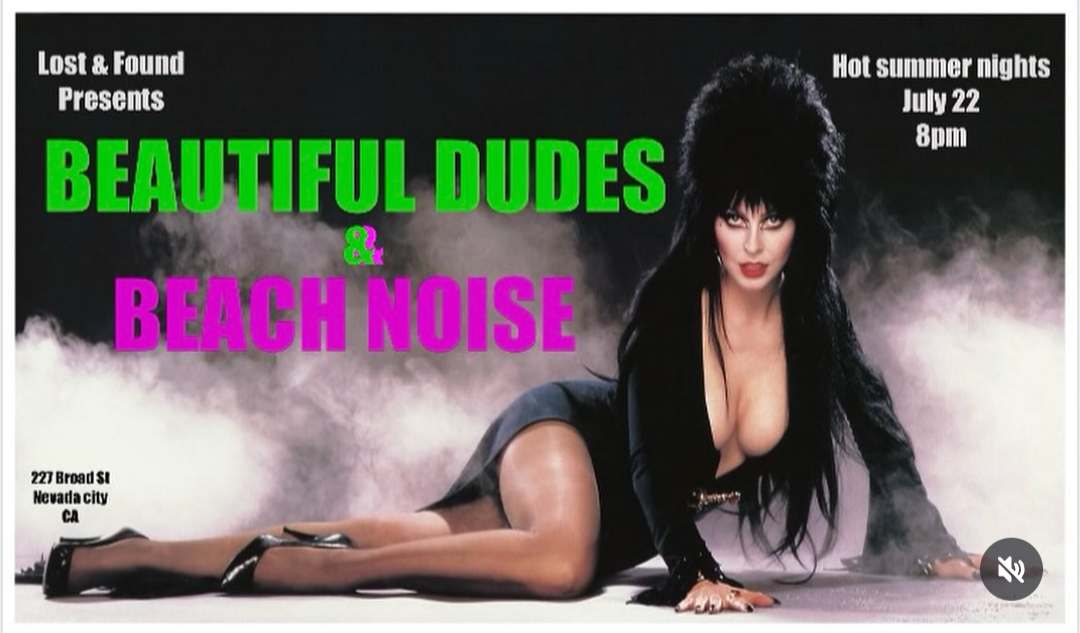 Flyer for Beautiful Dudes & Beach Noise